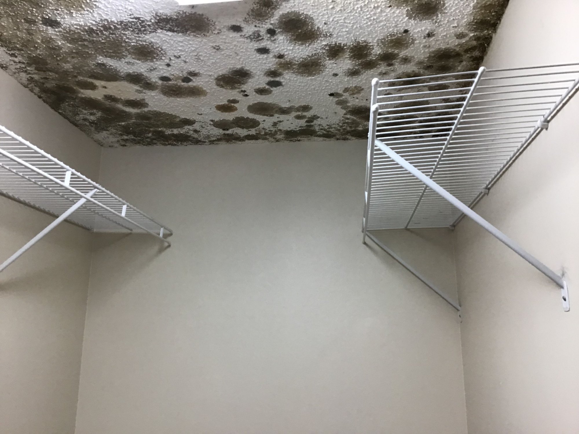 Severe amounts of mold found in bedroom Severe amounts of mold found in bedroom