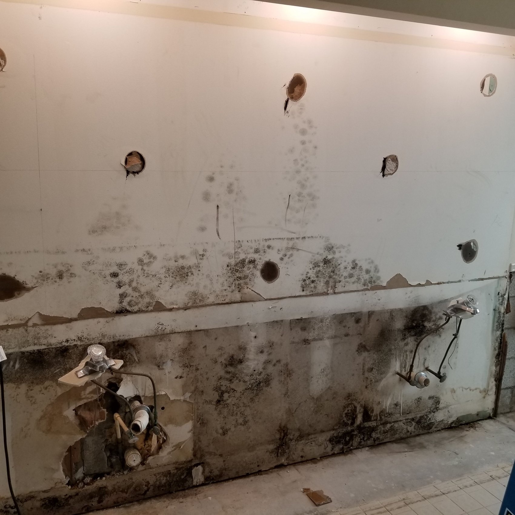 Mold in commercial property