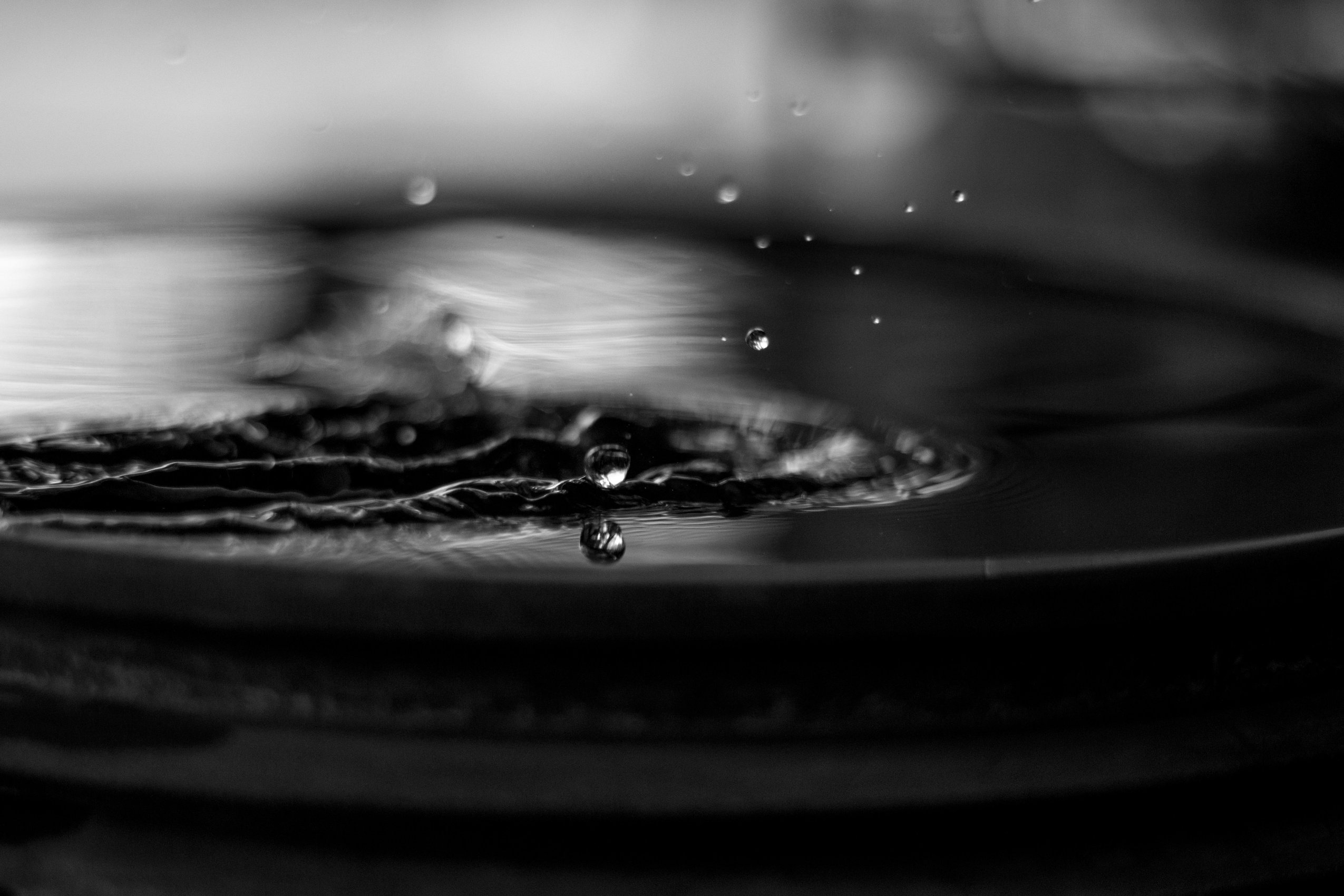 amritanshu-sikdar-PdEC4GzG5PY-unsplash